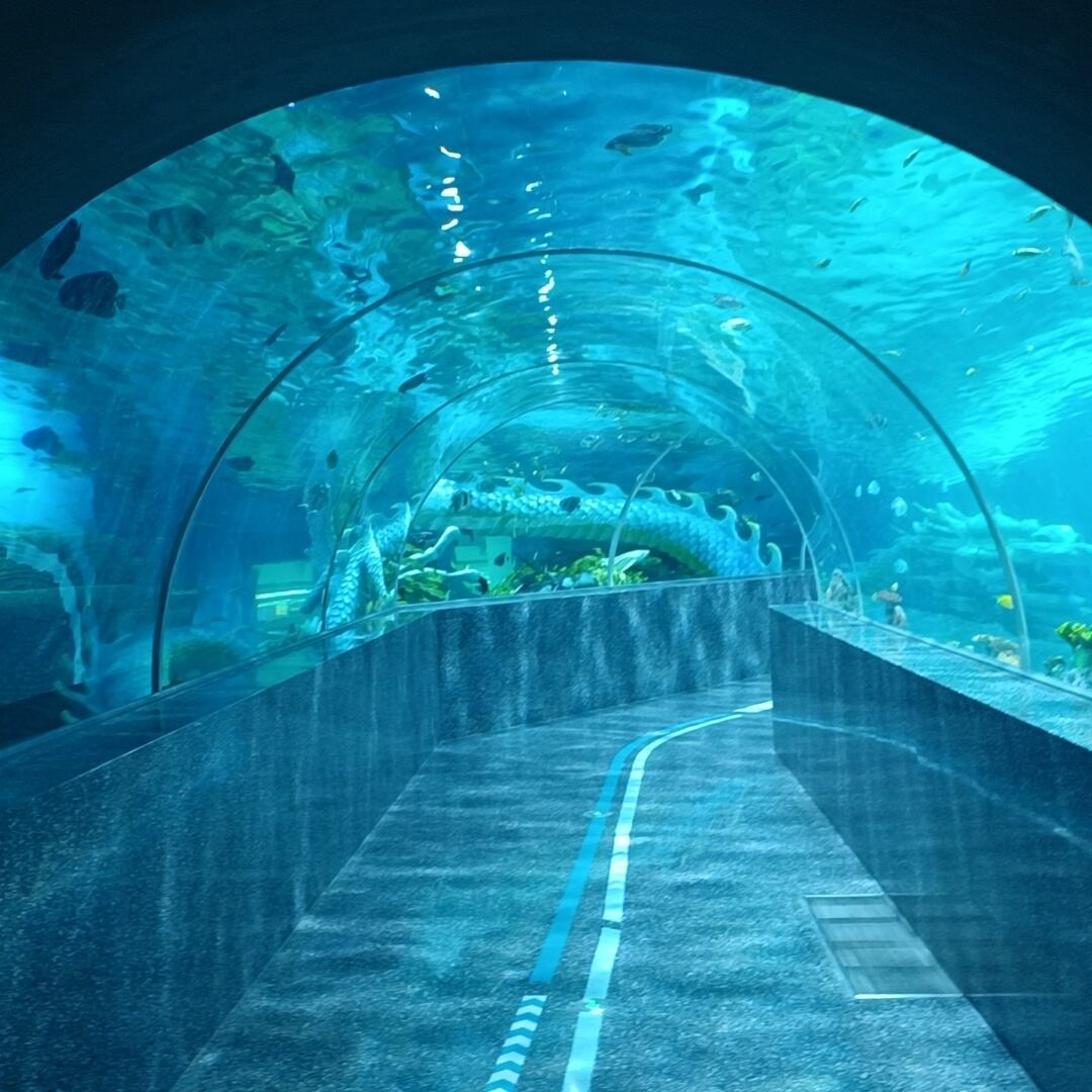 factory acrylic glass tunnel aquarium project price manufacture