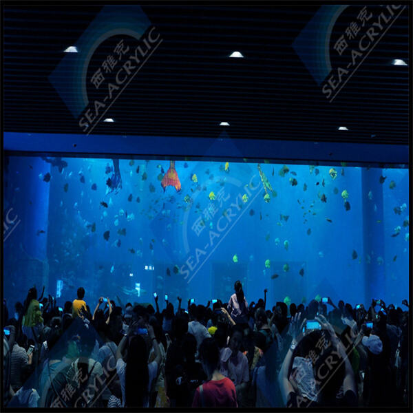 Acrylic Round Tube Aquariums for Your Fish