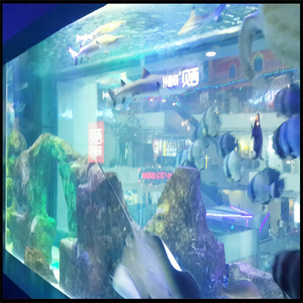 Acryl cylinder aquariums