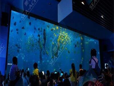 توفر ألواح الأكريليك متانة لا مثيل لها في أحواض الأسماك الكبيرة