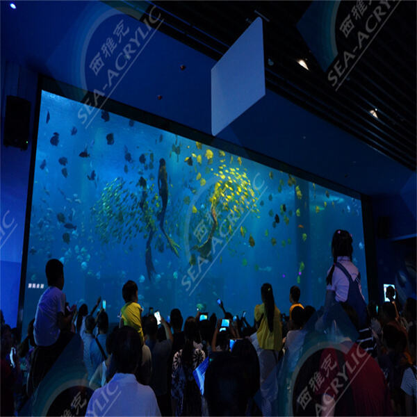 Discover the Versatility and Durability of Large Acrylic Aquariums