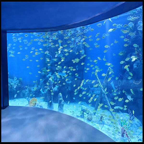 最高の水槽視認体験を提供するアクリルの比較