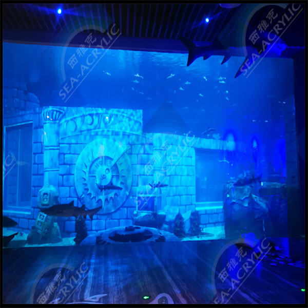 A Long-lasting Choice for Your Aquarium