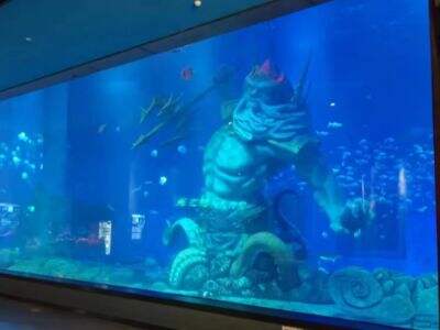 Top 3 Acrylic aquariums in Philippines