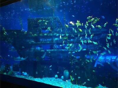 Толщина акрила имеет ключевое значение для устойчивости к давлению глубоководной среды