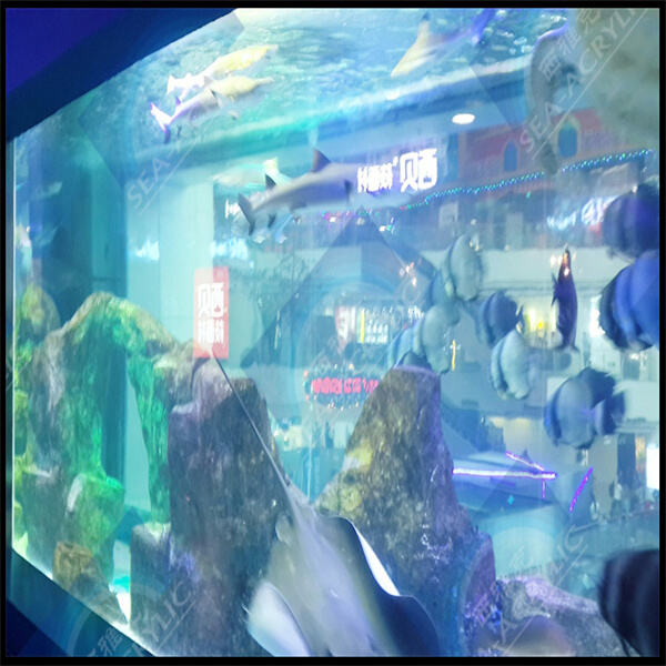 Upgrade your home du00e9cor with a modern cylindrical acrylic aquarium.
