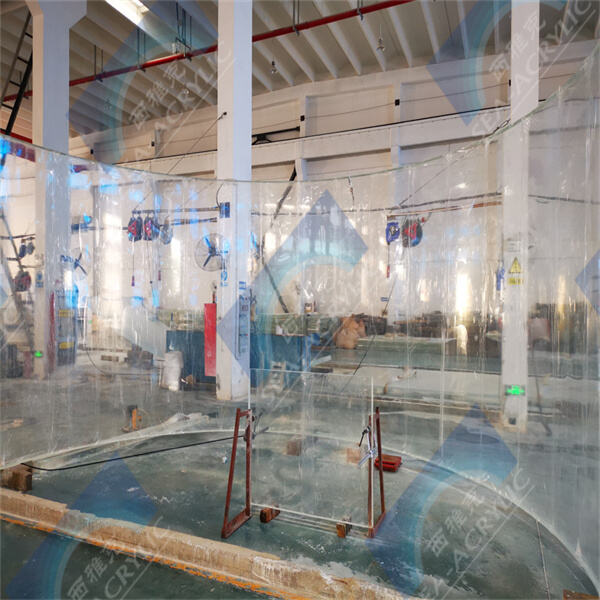 Dive into a Spectacular Underwater World with an Acrylic Tunnel Aquarium