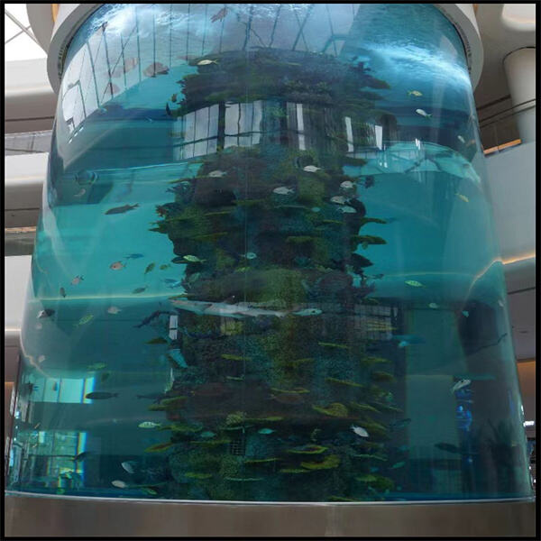 Enhance your space with an acrylic round aquarium