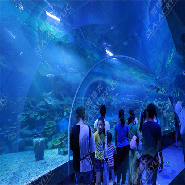 DIYアクリルプールキットを使って、自分でプールを造る達成感を味わいましょう。