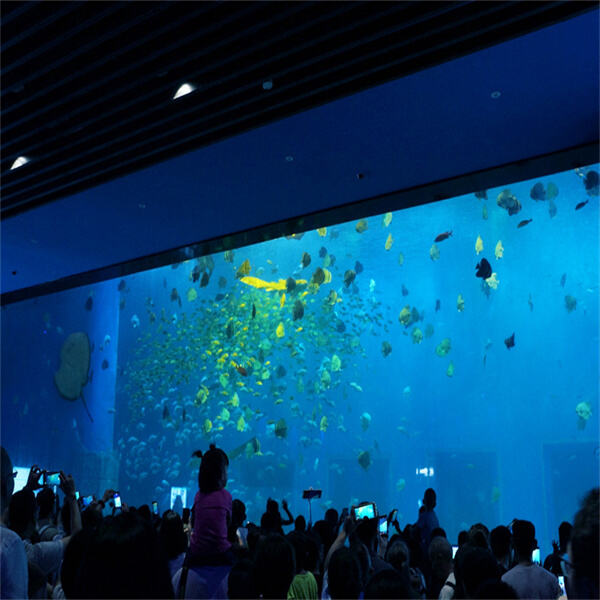 Enjoy the strength and durability of acrylic material in your aquarium tank.