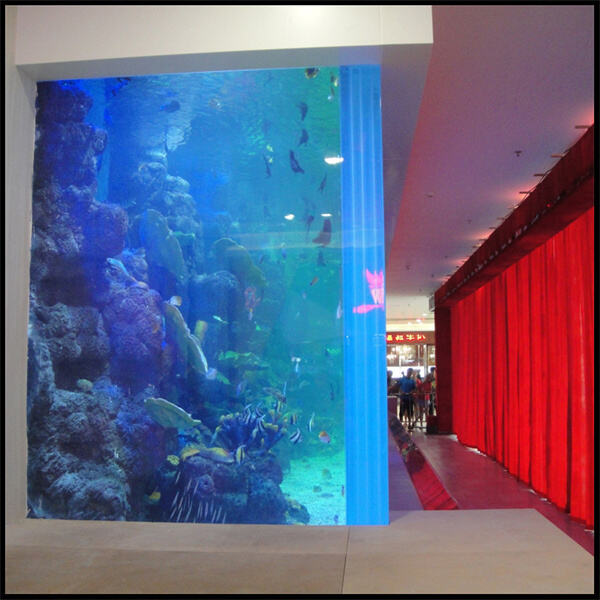 The benefits of acrylic fish tanks for a clearer view of your fish