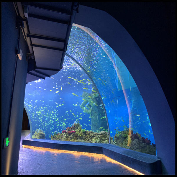 Verbessern Sie Ihr Fischtank-Erlebnis mit einem schicken Acryl-Zylinder-Aquarium.
