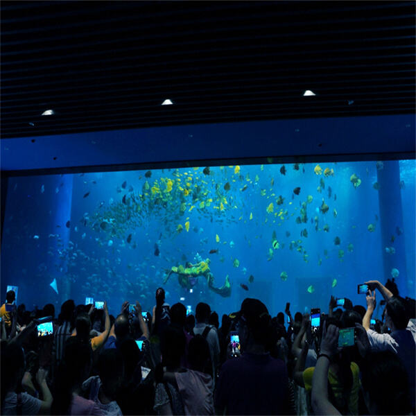 Why Large Acrylic Aquariums are the Ultimate Custom Design