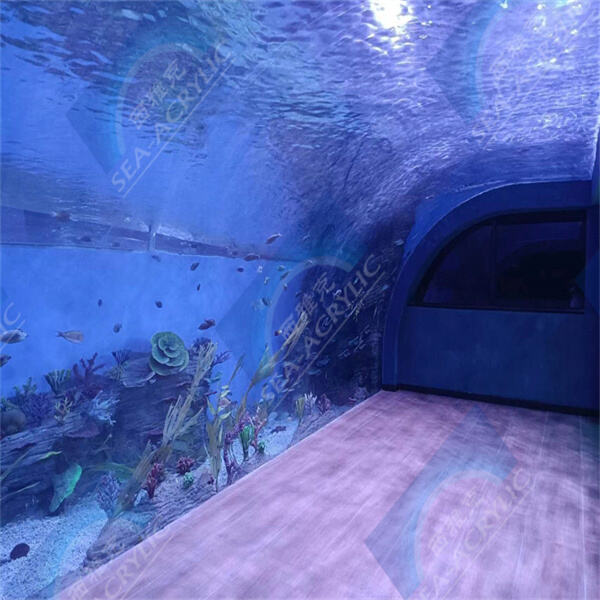 Entdecken Sie d'Schönheet vum underwasserleben mat engem zylindresch Acrylaquarium.