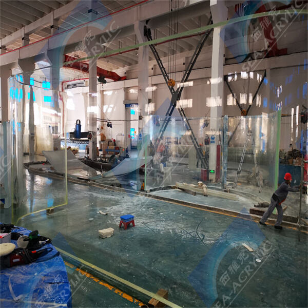Dive into the world of fish-keeping with an aquarium tank