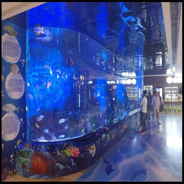 Erlebe die Schönheit von Fischen und aquatischen Pflanzen in einem Acrylfishtank.