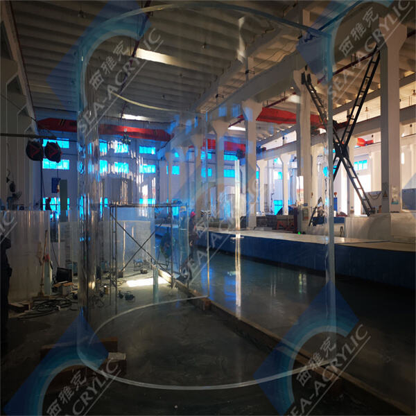 Budgeting for Your Dream Acrylic Swimming Pool
