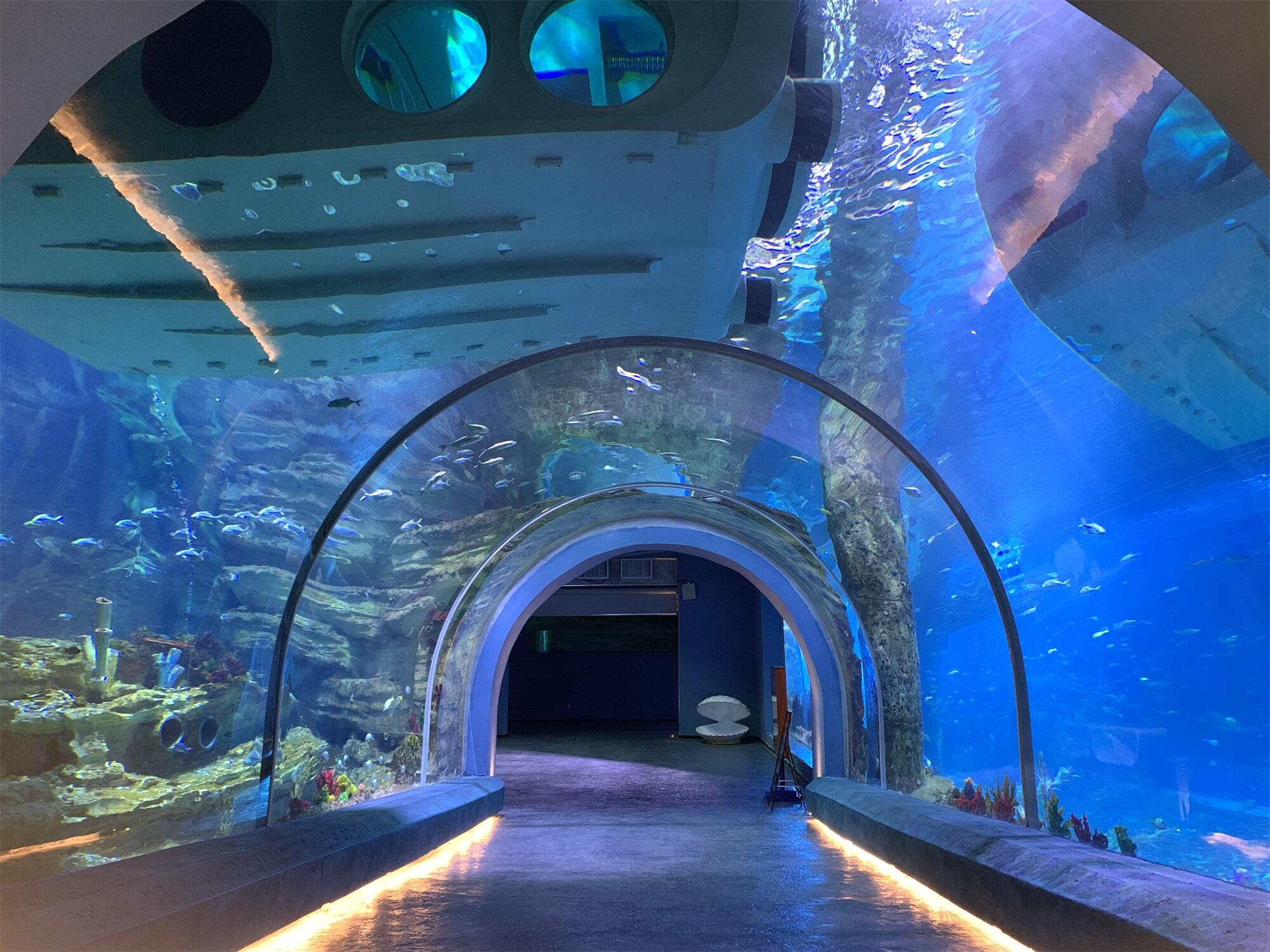 factory acrylic glass tunnel aquarium project price manufacture