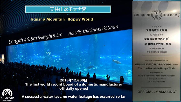 2024 acrylic manufacturer for acrylic aquarium acrylic fish tank tunnel details