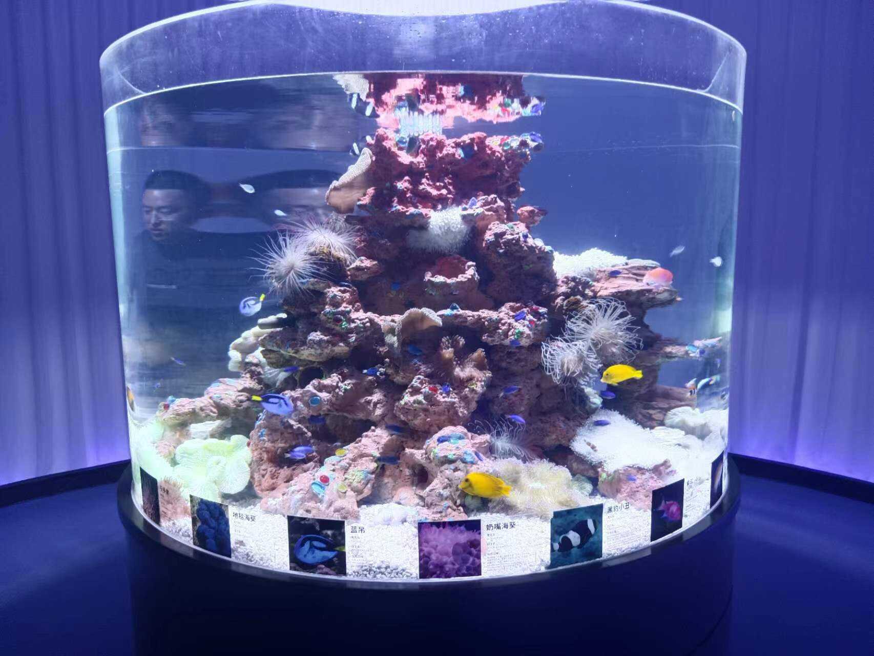 2024 customized cylindrical acrylic glass aquarium project manufacture