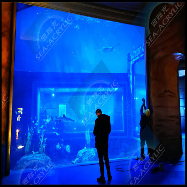 TOP 5 MUST-HAVE LUCITE AQUARIUMS FOR AQUATIC ENTHUSIASTS
