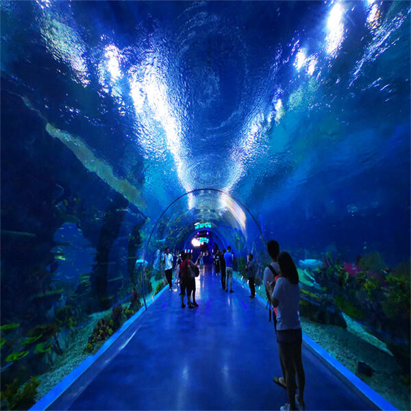 Step into luxury with an acrylic fish tank stairway.