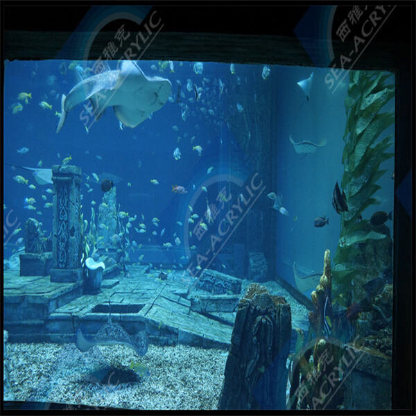 L'aquarium en acrylique de 8 pieds
