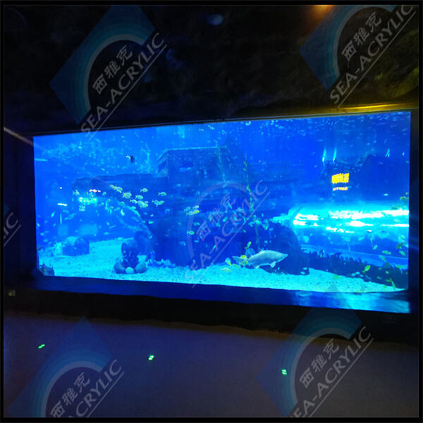 استمتع بالجمال والمتانة في حوض مائي أكريليكي لتسلحفاتك