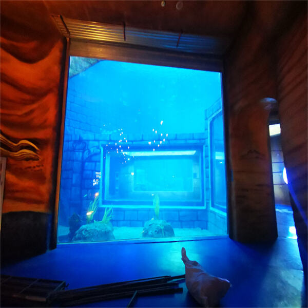 Schreite in ein faszinierendes und größer als lebensgroßes Acryl-Aquarium hinein.