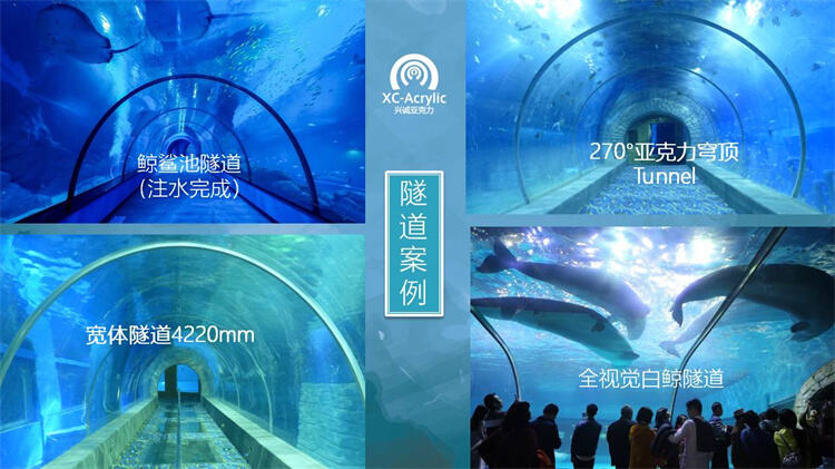 factory acrylic glass tunnel aquarium project price details