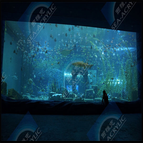 Améliorez votre espace piscine avec de la prestance