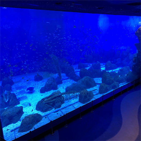 Different Applications of Transparent Plexiglass in Industries