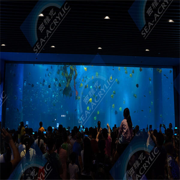 The Wonders of Acrylic Tunnel Aquariums