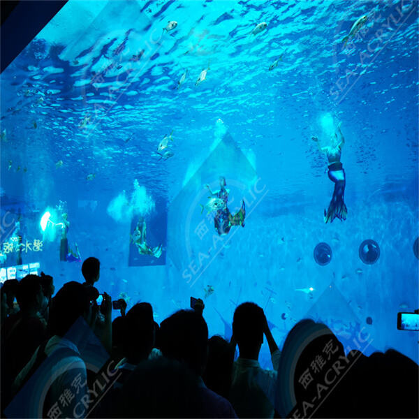 Perawatan dan Pemeliharaan Essensial untuk Tangki Ikan Aquarium Anda