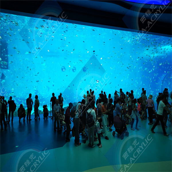 Transform Your Space with a Magnificent Large Acrylic Aquarium