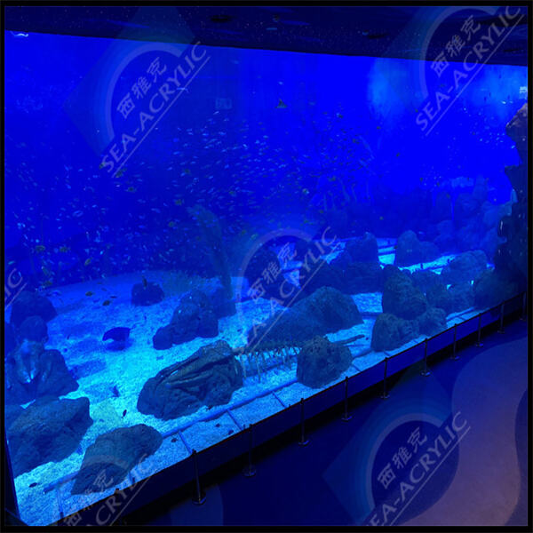 Schéidbar Mechangen vun Acryl-Aquariumsteeren fir ungewöhnlich Dueschmooglcheeten