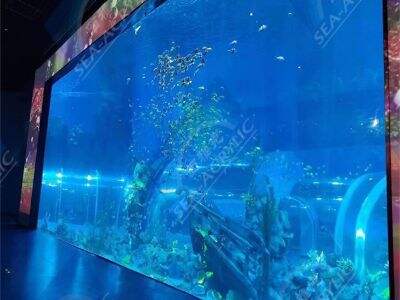 Akrilik Levhalar Eğimli Balık Tankı Yapılarında Nasıl Çatlamayı Önler