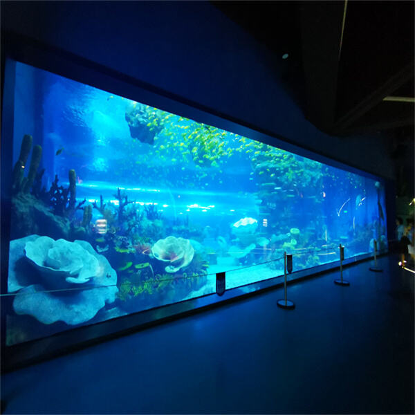 Enhance Your Underwater World with Custom Acrylic Tanks