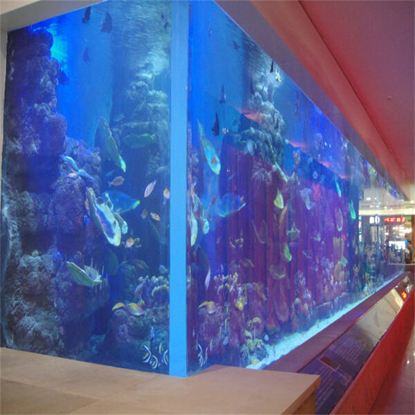 Erlebe die Schönheit und das Erstaunen der Meereswesen in einem massiven Acryl-Aquarium.