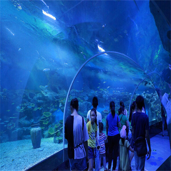 Dive into Nature with an Outdoor Acrylic Aquarium