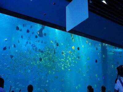 Why Plexiglass Cylinder Tanks Are Gaining Popularity Worldwide