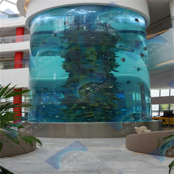 How to properly maintain your acrylic aquarium tanked