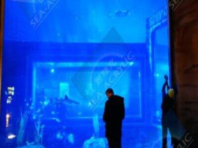 Akrilik Paneller Büyük Özel Akvaryumların Dayanıklılığını Nasıl Artırır