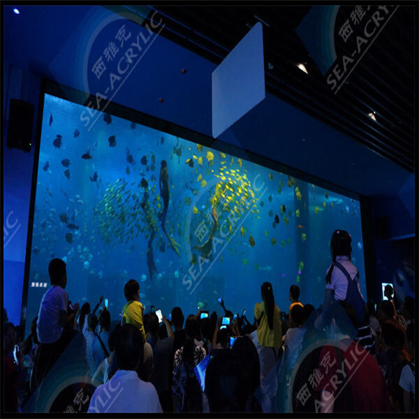 Schaffen Sie das perfekte Aquarium mit der Vielseitigkeit von Acryl.