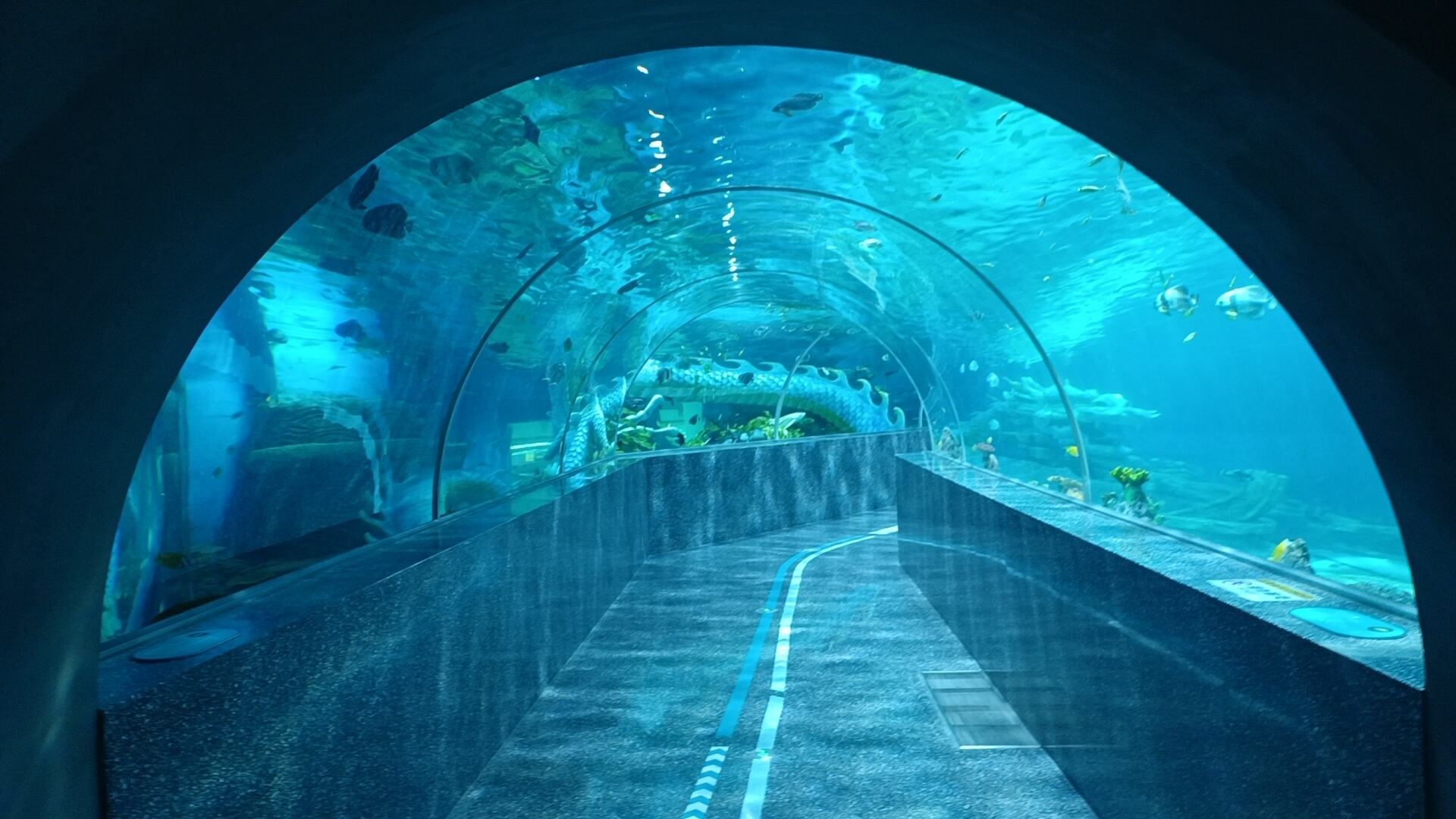 2024 factory acrylic glass tunnel aquarium project price supplier