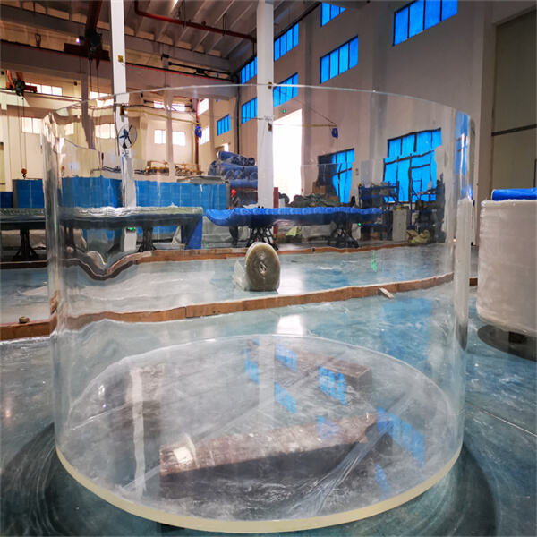 The Advantages of an Acrylic Sheet Swimming Pool