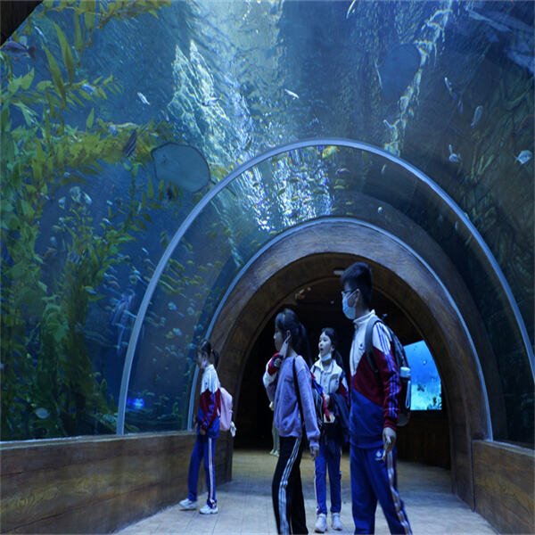 Tanked is a leading manufacturer of custom acrylic aquariums in the USA. They are known for their innovative designs and exceptional craftsmanship. Some of their most popular designs include: