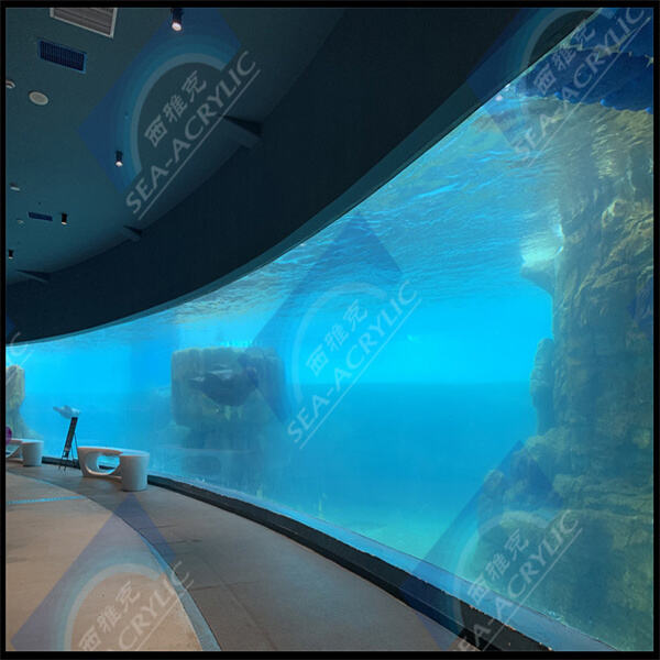 Une piscine en verre plexi cool pour découvrir de nouvelles perspectives
