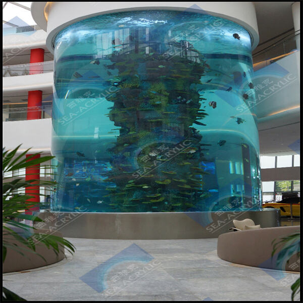 Les 10 meilleurs aquariums en acrylique pour votre maison