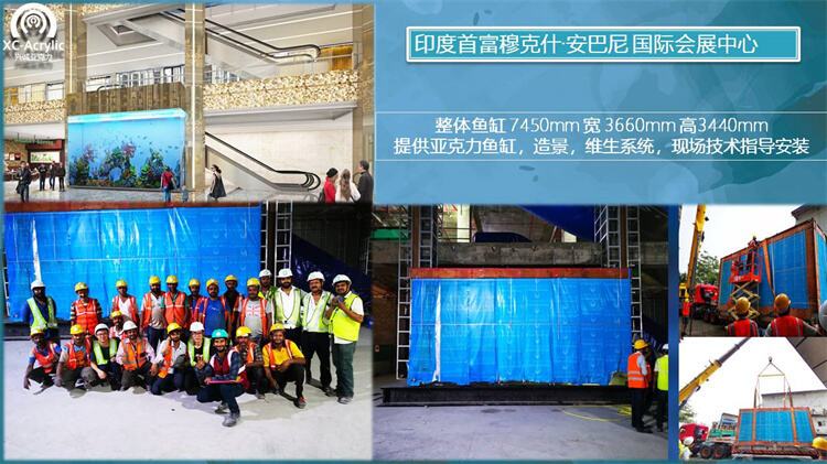 2024 factory acrylic glass tunnel aquarium project price supplier